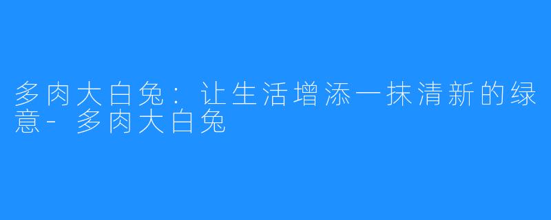 多肉大白兔：让生活增添一抹清新的绿意-多肉大白兔