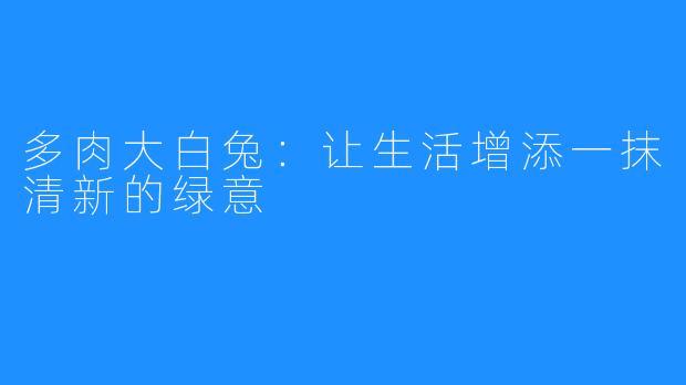 多肉大白兔：让生活增添一抹清新的绿意