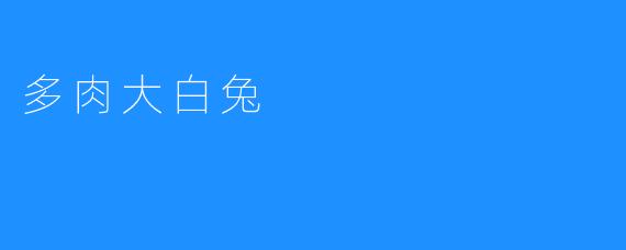 多肉大白兔：让生活增添一抹清新的绿意