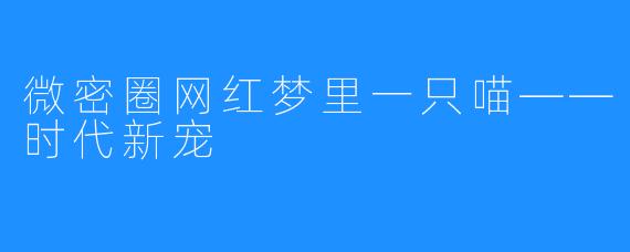 微密圈网红梦里一只喵——时代新宠