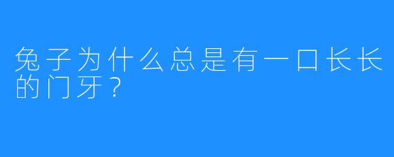 兔子为什么总是有一口长长的门牙？