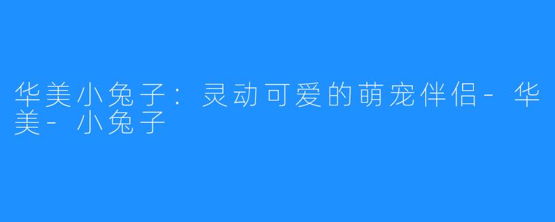 华美小兔子:灵动可爱的萌宠伴侣-华美-小兔子