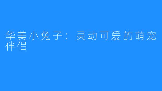 华美小兔子:灵动可爱的萌宠伴侣