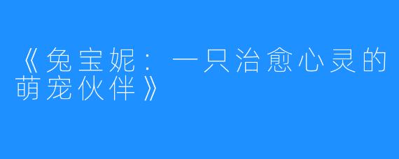 《兔宝妮:一只治愈心灵的萌宠伙伴》