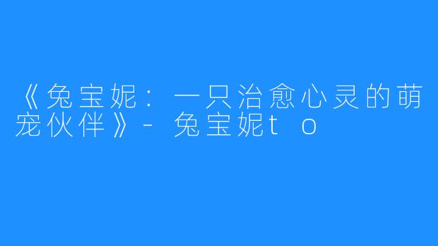 《兔宝妮:一只治愈心灵的萌宠伙伴》-兔宝妮to