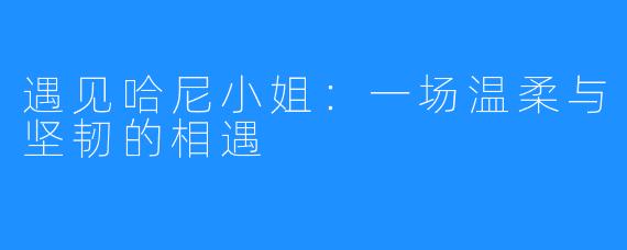 遇见哈尼小姐：一场温柔与坚韧的相遇