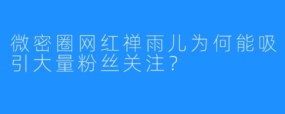 微密圈网红禅雨儿为何能吸引大量粉丝关注？