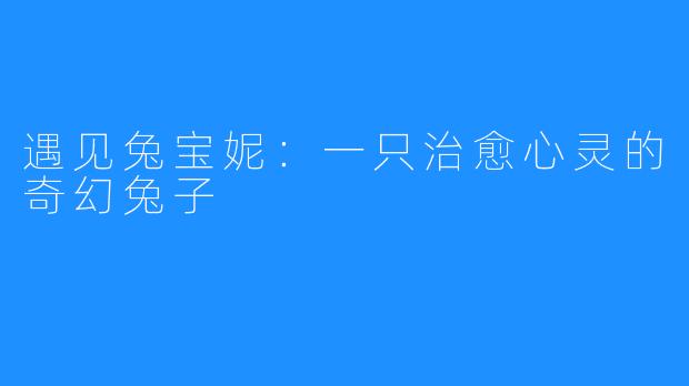 遇见兔宝妮：一只治愈心灵的奇幻兔子