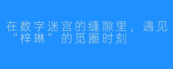 在数字迷宫的缝隙里，遇见“梓琳”的觅圈时刻