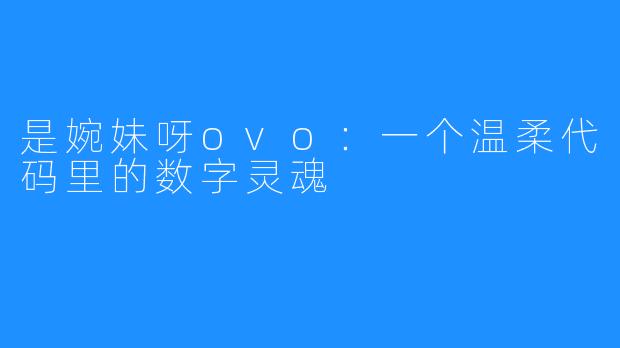 是婉妹呀ovo：一个温柔代码里的数字灵魂